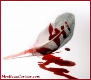 Monbeaucerisier.com