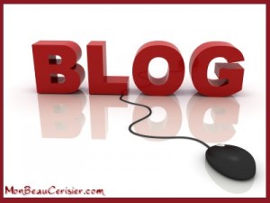 Monbeaucerisier.com