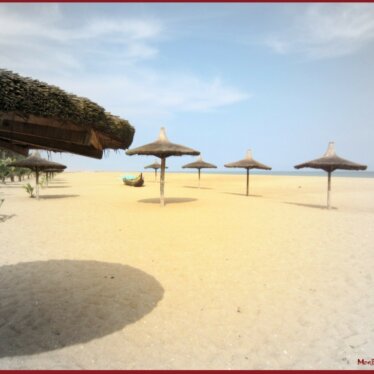 Bronzée et pas du tout Reposée.