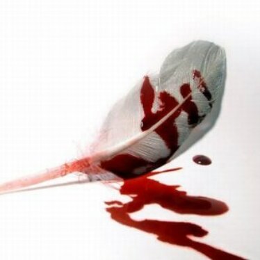 « Aimer c&rsquo;est donner la capacité à l&rsquo;autre de vous détruire. »