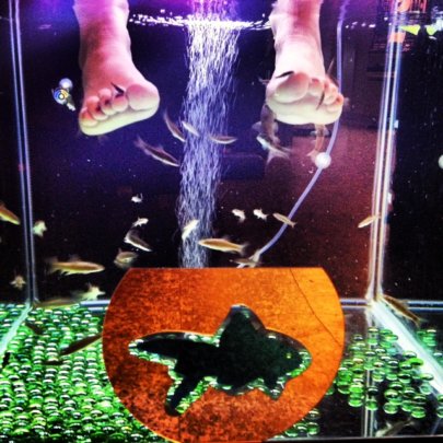 Les pieds comme des poissons dans l’eau !