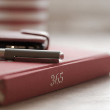 Ce que nous avons été…