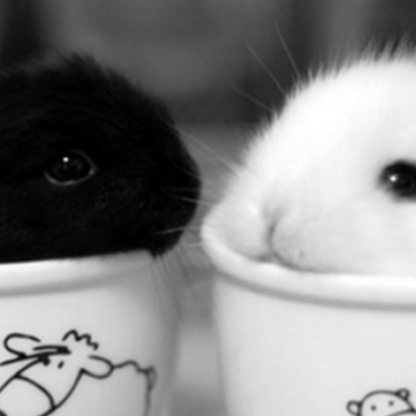 Je suis noire. Il est blanc. Mon couple mixte…