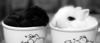 Je suis noire. Il est blanc. Mon couple mixte…