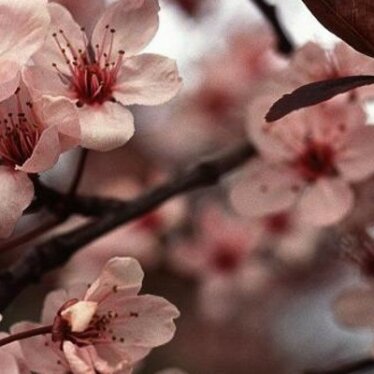 Lettre ouverte à mon blog