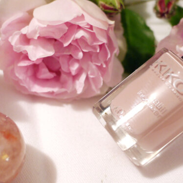 Roses, tendresse et coccinelle…