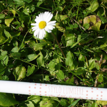 Flip Flap Flop : Stylo Illuminateur MyLittleBeauty