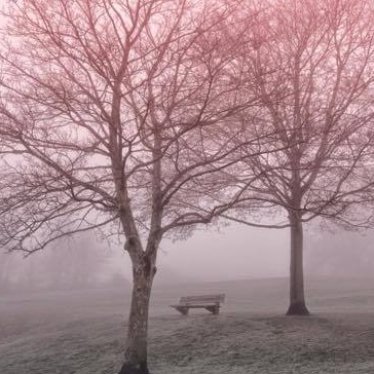 Savoir faire une pause…