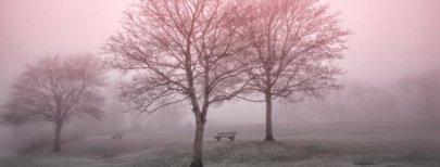Savoir faire une pause…